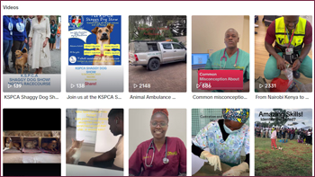 Follow us on tiktok!