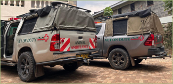 Animal Ambulances